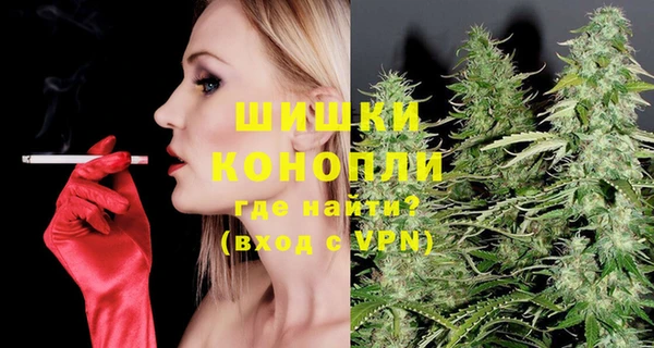 индика Наволоки