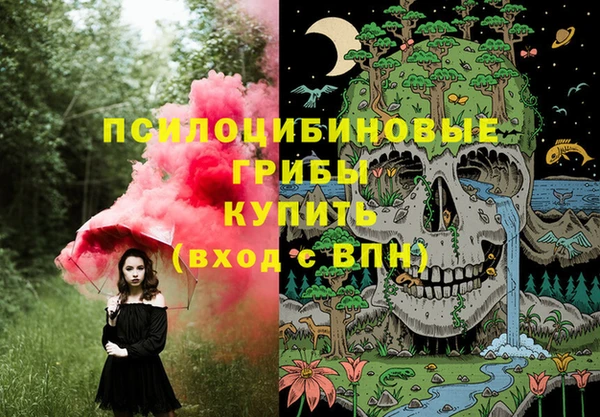 дурь Михайловка