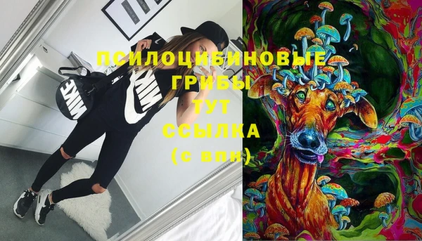 mdpv Михайлов