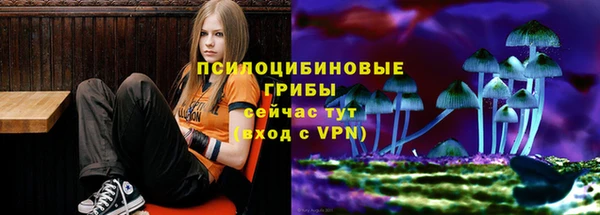 mdpv Михайлов