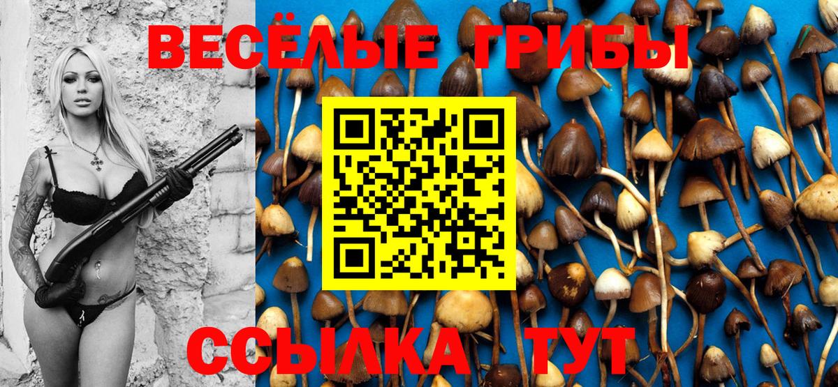 Клинцы  Галлюциногенные грибы MAGIC MUSHROOMS  Псилоцибиновые грибы Psilocybine cubensis  Вход с VPN 